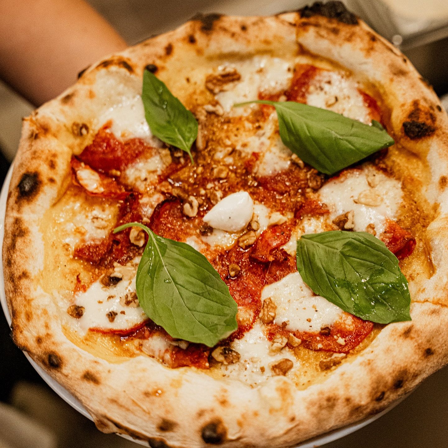 Ganze Pizza senkrecht von oben mit Salami, Mozzarella und Basilikum, auf einem weißen Teller gehalten