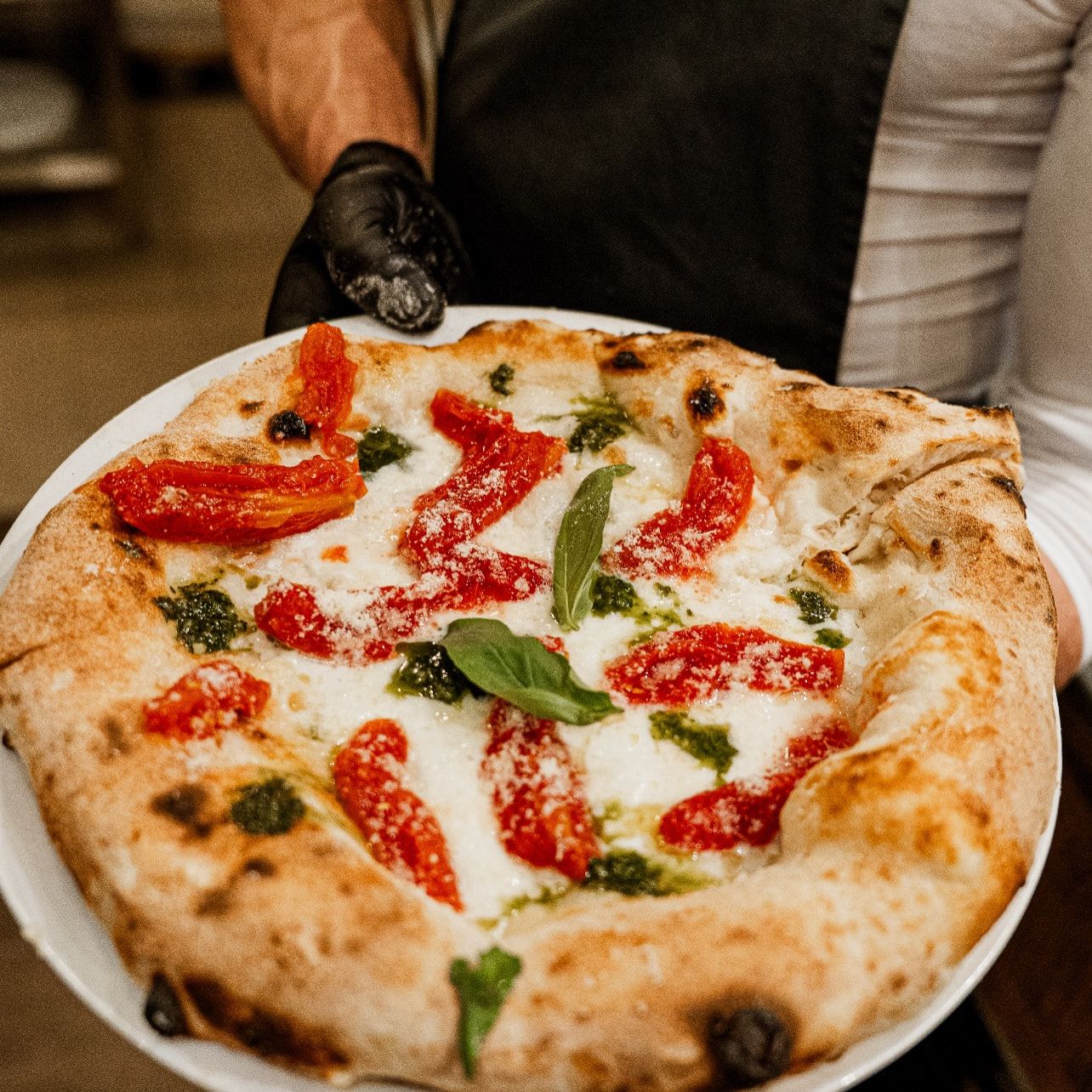 Ganze Pizza mit Mozzarella und Basilikum auf weißem Teller, von einer Hand im schwarzen Handschuh gereicht